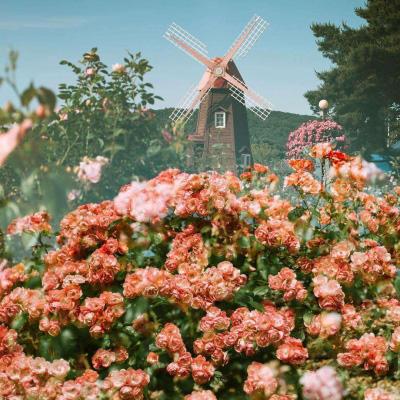 BET体育365投注官网