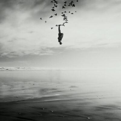 196体育(官方)APP下载安装app下载截图