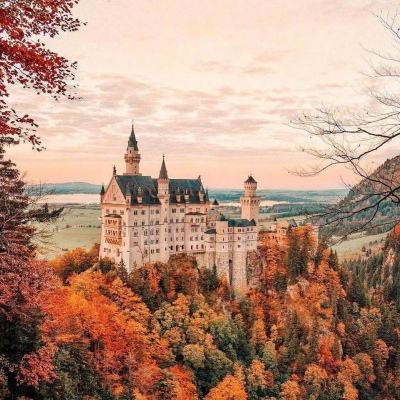 乐鱼app官网正式版下载下载手机版