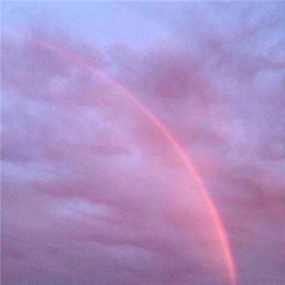 赏金女王官网正版下载