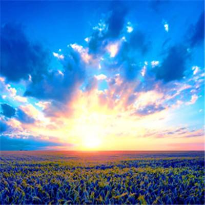 AG官方平台下载地址