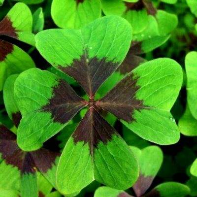 开云网kaiyun下载手机版截图