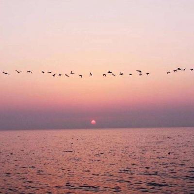 开云网kaiyun下载手机版