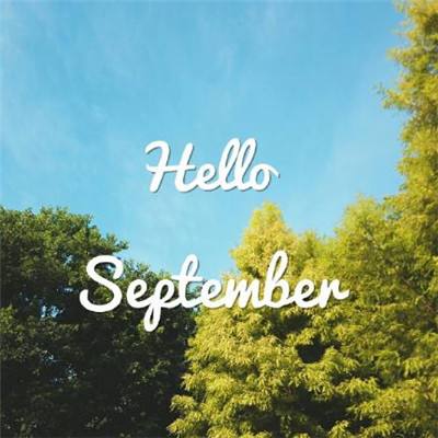 196体育(官方)APP下载安装手机app下载